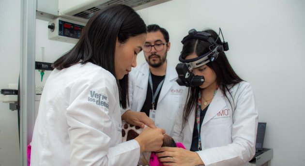 Diagnóstico y seguimiento del paciente con retinopatía del prematuro